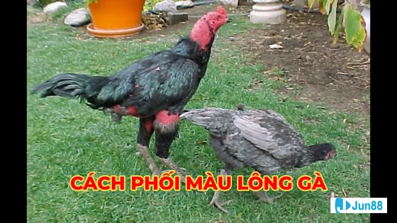 Ghế sofa hiện đại phòng khách